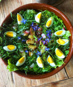 stilte retraite juni voeding