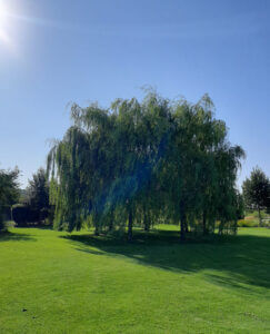 stilte retraite juni 2025