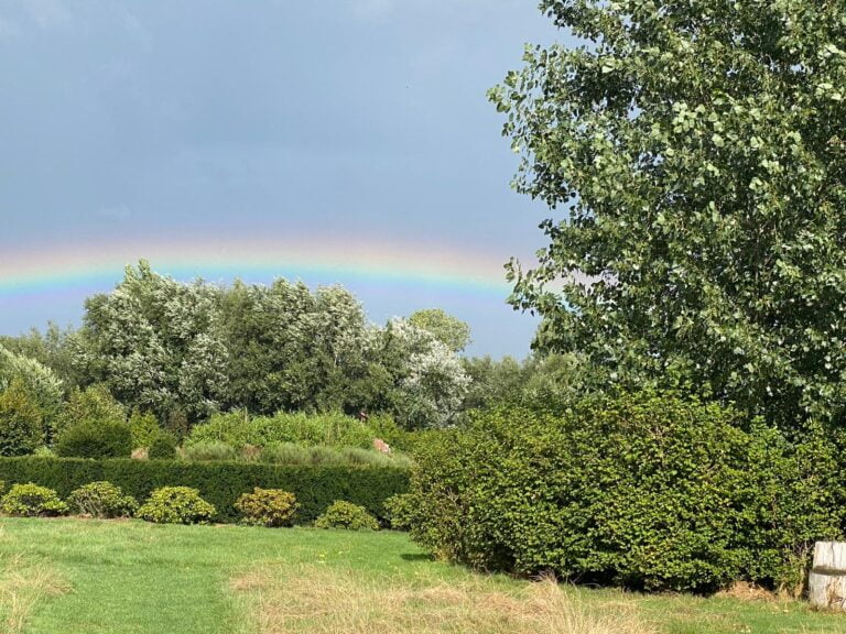 Vipassana Nederland retraite