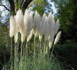 stilte retraite januari 2025