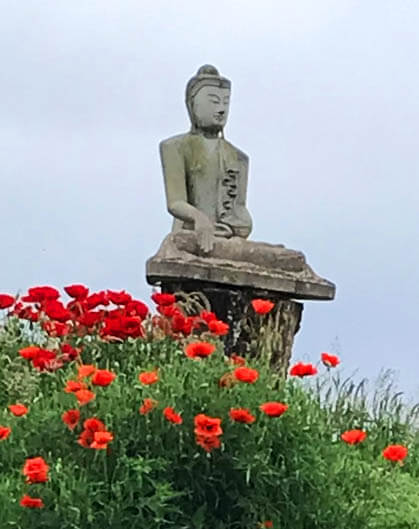 vipassana-retraites