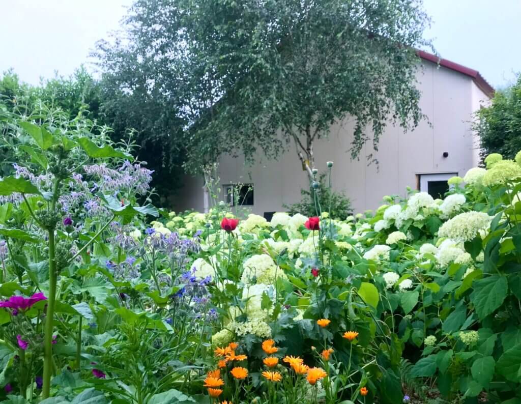 Tuinen bij de Woonboerderij