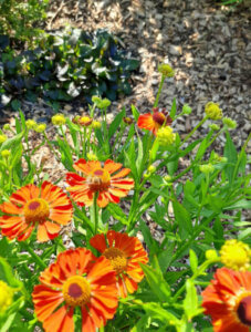 retraite augustus 2024