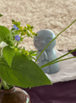 stilte meditatie retraite