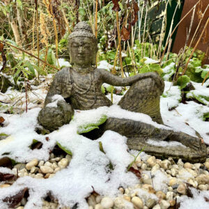 Zen Annetje retraite
